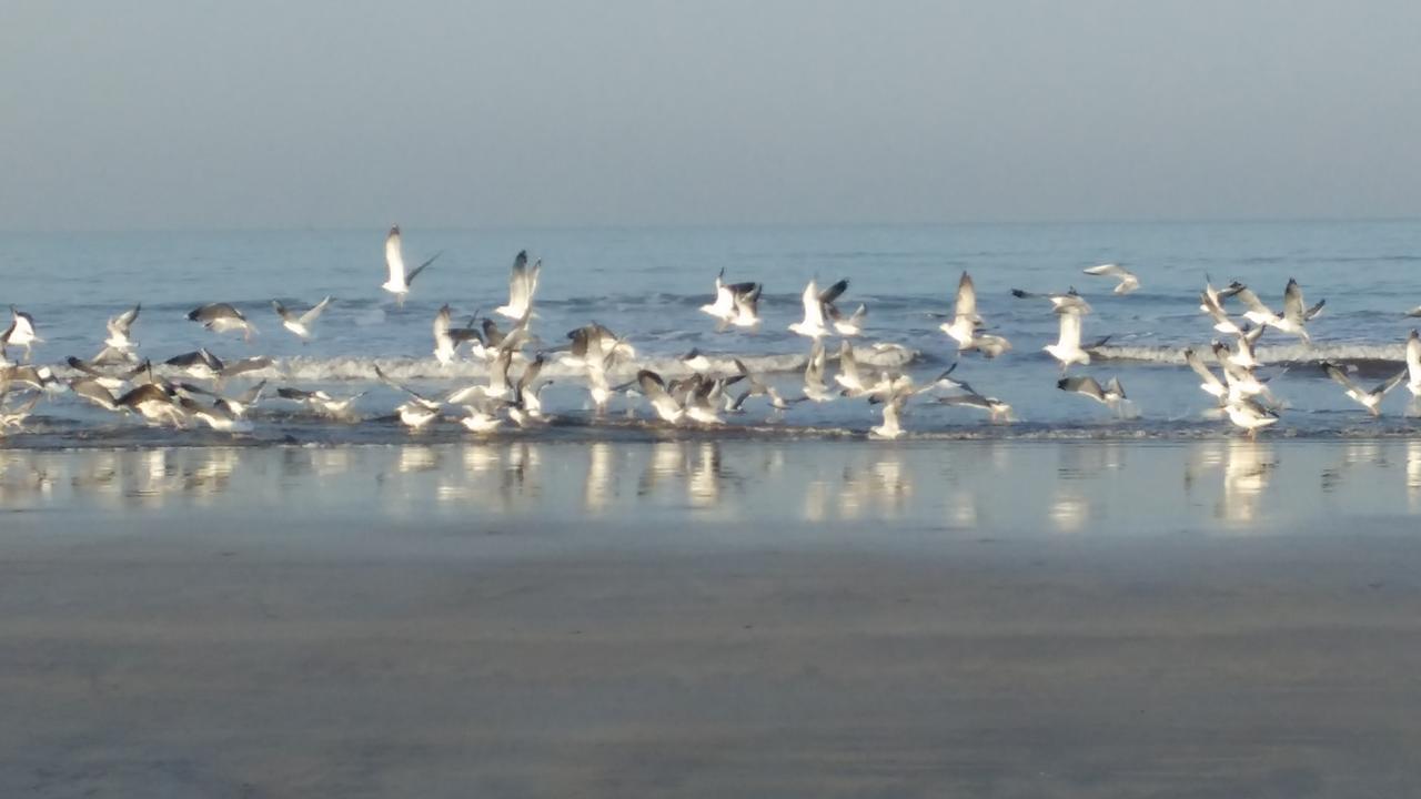 Whistling Waves Beach Resort Ānjarle Zewnętrze zdjęcie