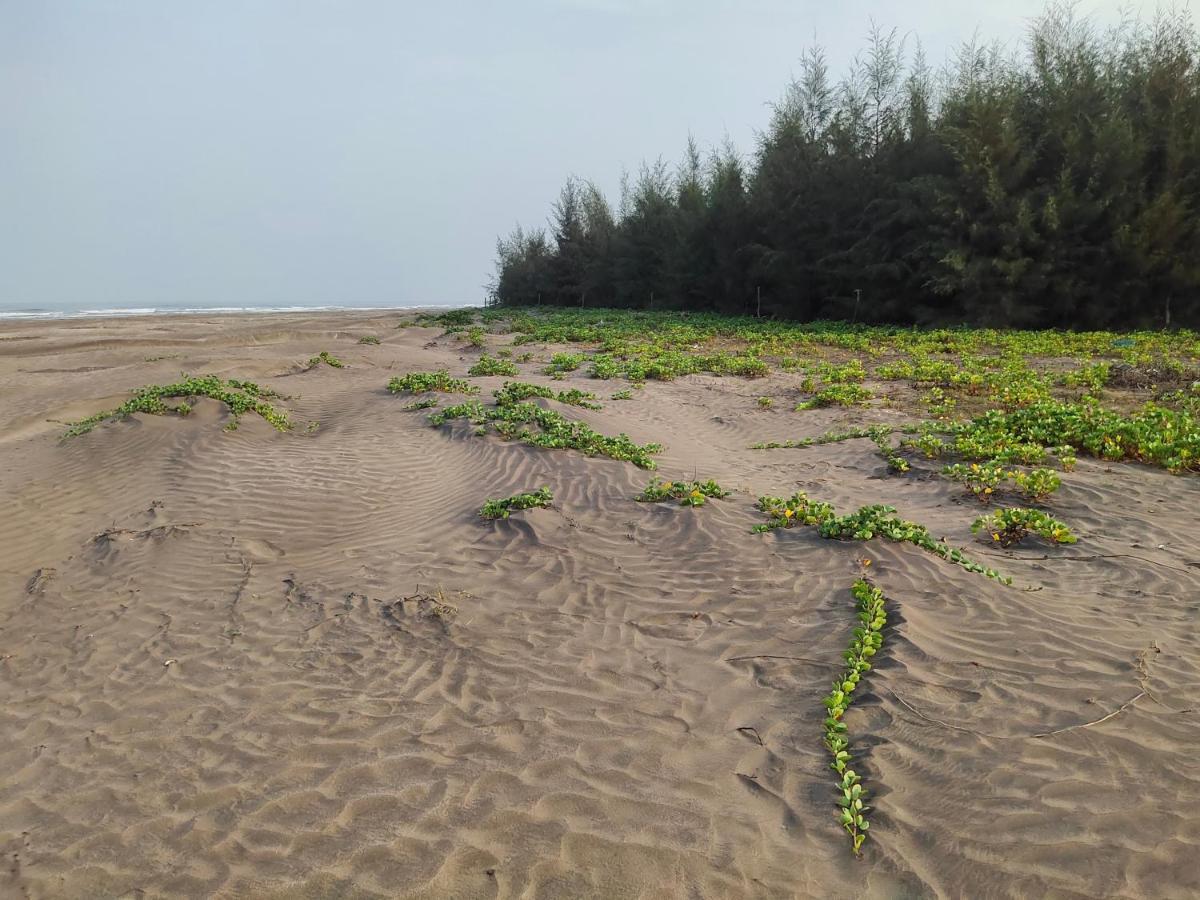 Whistling Waves Beach Resort Ānjarle Zewnętrze zdjęcie